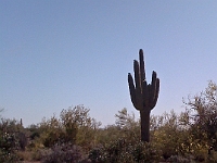 Pictures from iPhone 054